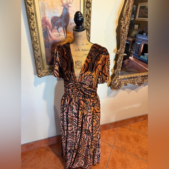 NWT The Katerina Button-front Dress: Velvet Edition - Picture 3 of 16